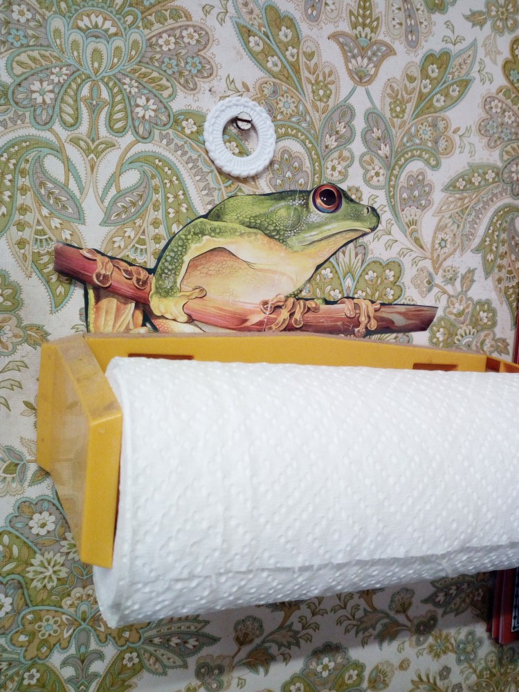 Kitchen Tree Frog IMG_20180319_082448