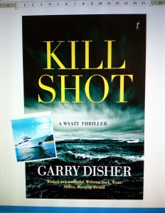 kill shot garry disher 03