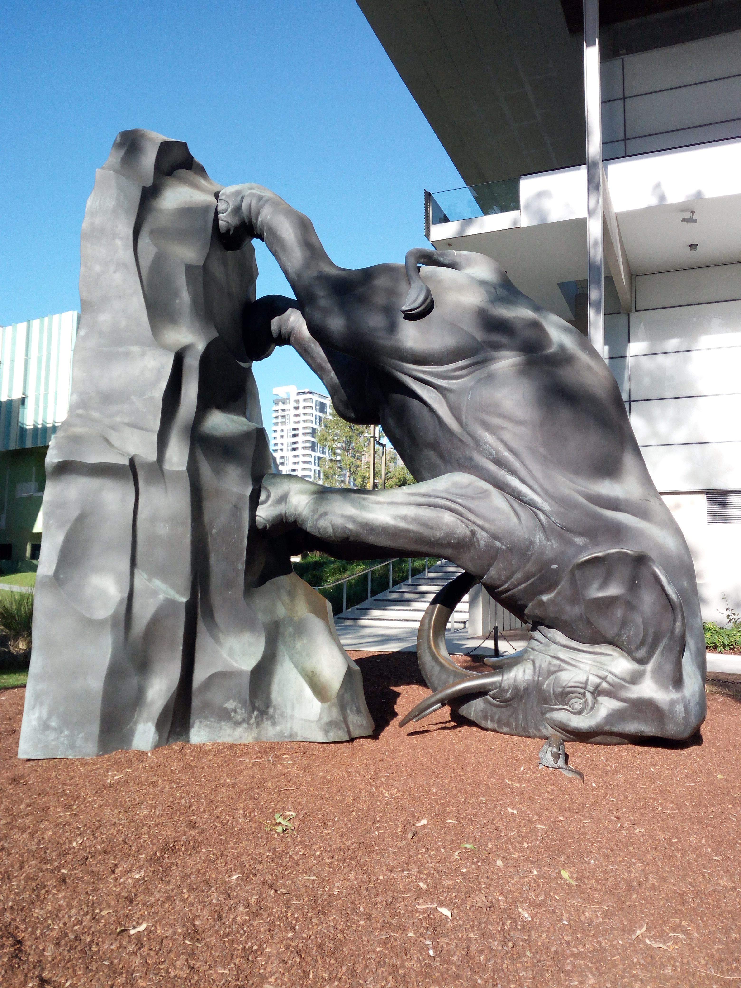 IMG_20170527_084739_BURST001_COVER