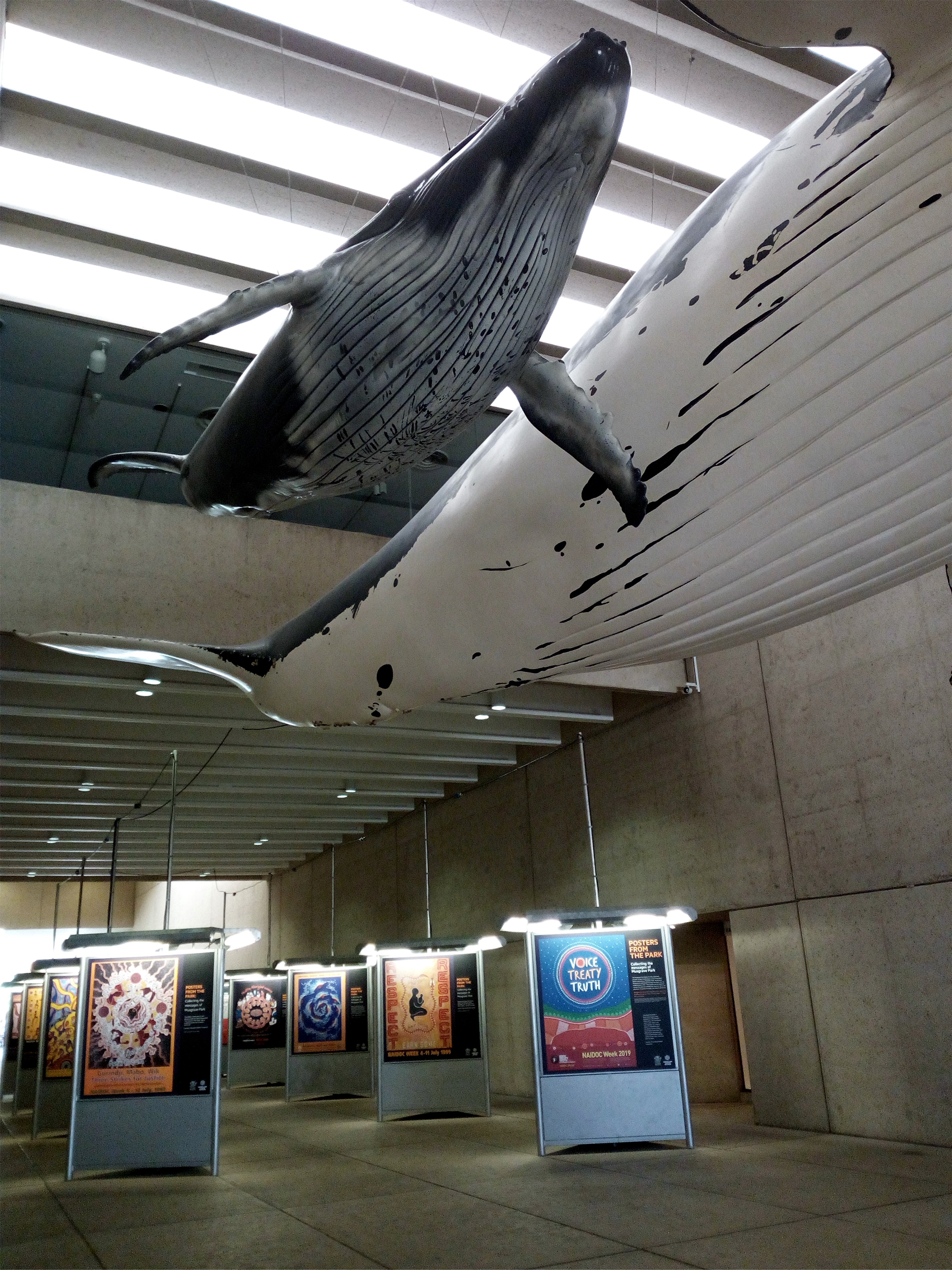 IMG_20190905_122005_BURST001_COVER