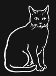 Cat Black and White 03