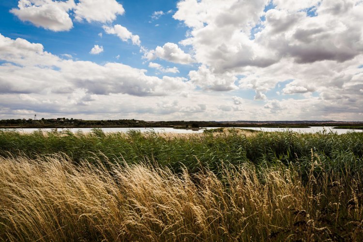 You Yet Shall Die by Jennifer Barraclough 02