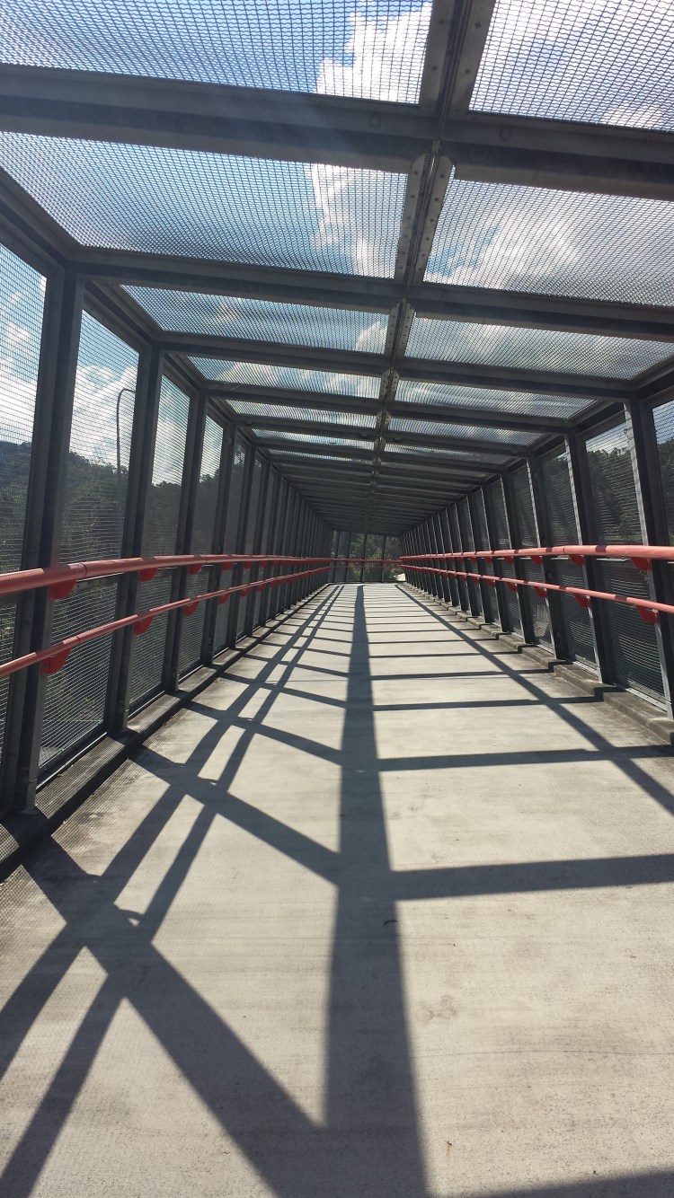 20200808_135138 Brisbane